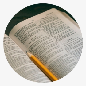 Bible , Png Download - Bible Reading, Transparent Png, Free Download