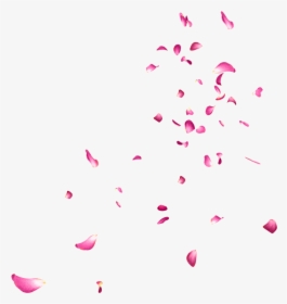 Falling Rose Petals Png Picture - Falling Petals Gif Transparent, Png Download, Free Download