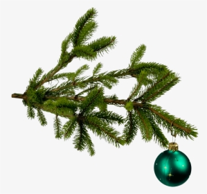 Christmas Png Tree Ball Image - Christmas Tree Leaves Transparent, Png Download, Free Download