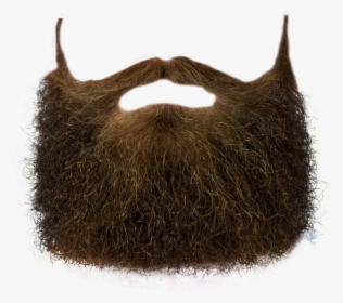 Beard Hair Png - Beard Png, Transparent Png, Free Download
