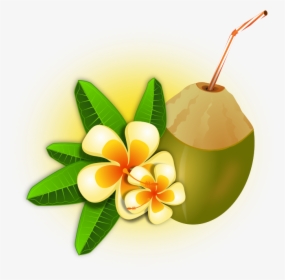Christmas Ornament Free Download Png - Hawaiian Coconut Png, Transparent Png, Free Download