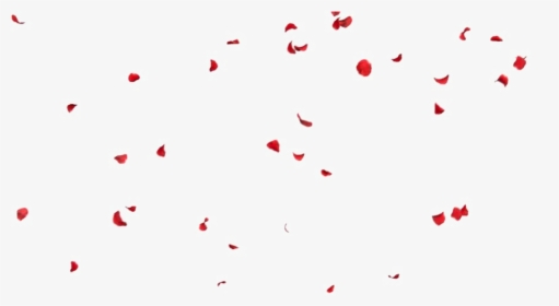 rose petals falling png images free transparent rose petals falling download kindpng rose petals falling png images free