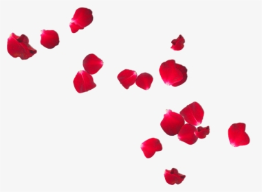 Clip Art Falling Rose For - Rose Petals Free Png, Transparent Png, Free Download