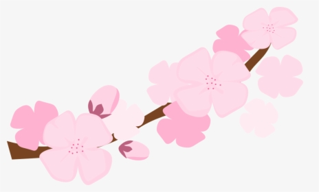 Transparent Cherry Blossom Clip Art - Sakura Flower Branch Clipart, HD Png Download, Free Download
