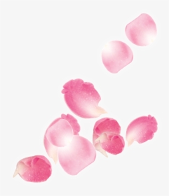 Transparent Sakura Flower Clipart, HD Png Download, Free Download