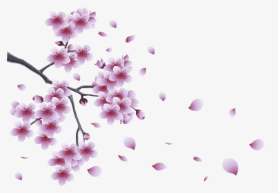 Branches With Flowers Png, Transparent Png, Free Download