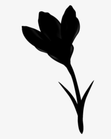 Cute Crocus Flower Transparent Background - Silhouette, HD Png Download, Free Download