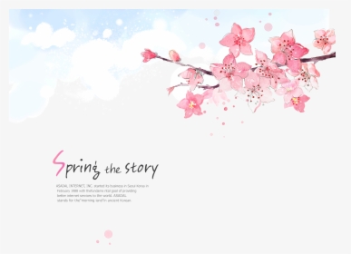 Flower Cherry Blossom - Cherry Blossom, HD Png Download, Free Download