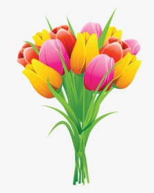Crocus Clipart Flower Gif - Tulips Clipart, HD Png Download, Free Download
