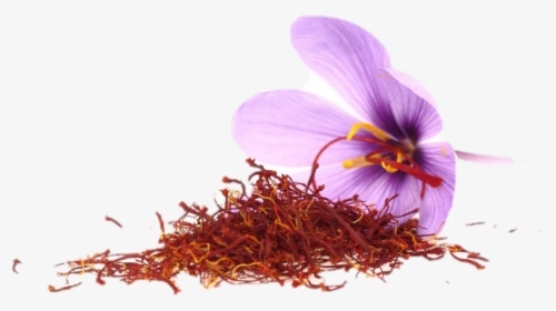 Transparent Crocus Png - Saffron In Sri Lanka, Png Download, Free Download