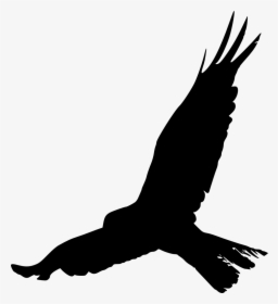 Png Images Of Birds - Free Bird Silhouette Png, Transparent Png, Free Download