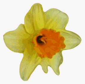 Plant,flower,petal - Small Transparent Flower Yellow, HD Png Download, Free Download