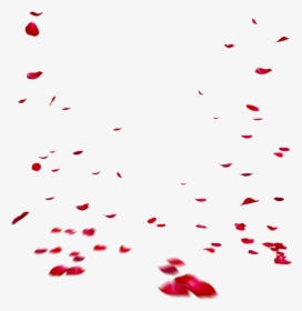 Falling Roses PNG Images, Free Transparent Falling Roses Download - KindPNG