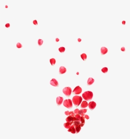 Falling Rose Petals Background Png - Illustration, Transparent Png, Free Download