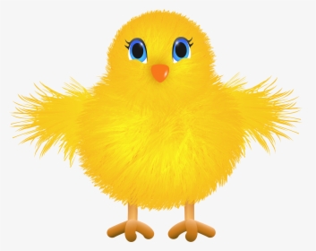 Yellow Cliparts Png Cute - Chick Transparent Clipart, Png Download, Free Download