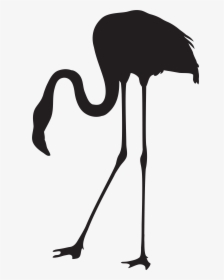 Flamingo Silhouette Png Transparent Clip Art Imageu200b - Flamingo Clipart Silhouette, Png Download, Free Download