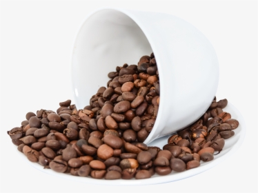 Coffee Bean Png Free, Transparent Png, Free Download