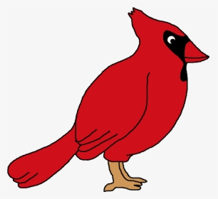 Red Cardinal Bird Clip Art - Cardinal Clipart, HD Png Download, Free Download