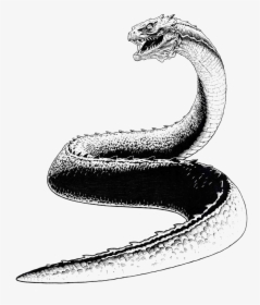 Basilisk Snake Png Pic, Transparent Png, Free Download