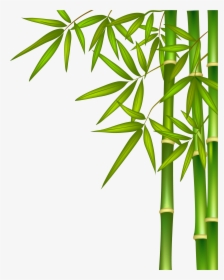 Palm-tree, HD Png Download, Free Download
