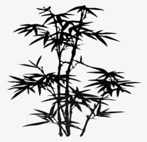 Drawing Tree Clip Art Zen Antiquity Transprent - Bamboo Leaves Silhouette Png, Transparent Png, Free Download