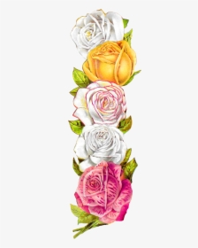 Vintage Rose Border, HD Png Download, Free Download