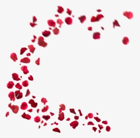 Falling Rose Petals Png Hd - Effect Png For Picsart, Transparent Png, Free Download