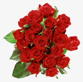 Розы Красные Png, Transparent Png, Free Download