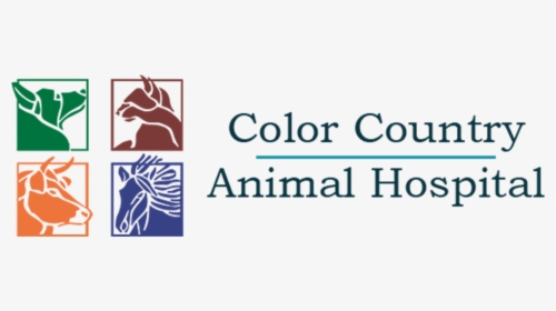 Color Country Animal Hospital - City Country Logo, HD Png Download, Free Download