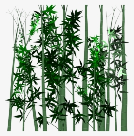 Leaf, Bamboo, Plant, Isolated, Transparent, Tree - Download, HD Png Download, Free Download