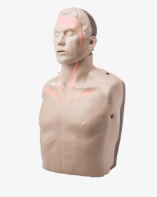 Cpr Mannequins With Light, HD Png Download, Free Download