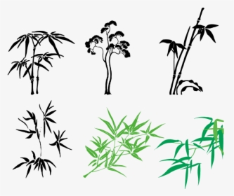 Bamboo Vector Illustrator - Vector Graphics, HD Png Download, Free Download