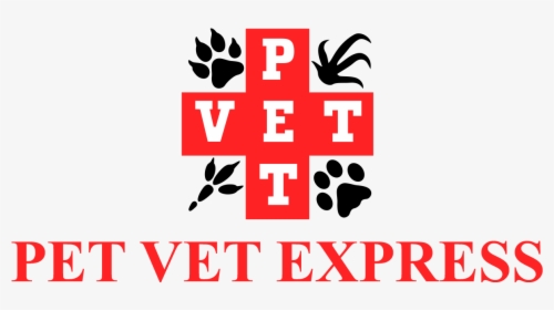 Pet Vet Express - Graphic Design, HD Png Download, Free Download