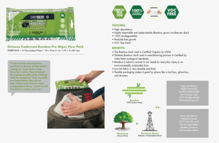 Flyer, HD Png Download, Free Download