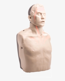 Cpr Manikin For Sale, HD Png Download, Free Download