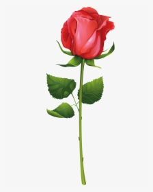 Rose With Stem Png Clip Art Imageu200b Gallery Yopriceville - Red Rose Illustration Vector, Transparent Png, Free Download
