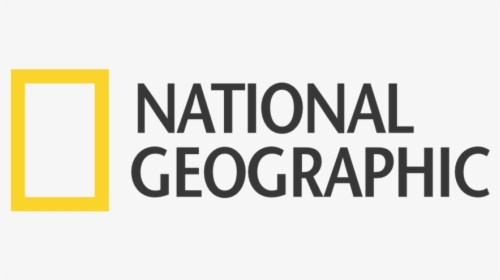 National Geographic Logo Dark - Transparent Background National Geographic Logo, HD Png Download, Free Download