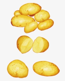 Potatoes Png Clipart - Vector, Transparent Png, Free Download