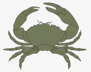 Crab In Water Png - Crab Clipart Black, Transparent Png, Free Download