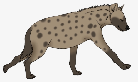 Hyena Png - Hyena Clipart Png, Transparent Png, Free Download