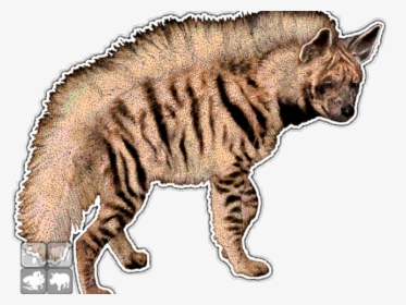 Hyena Clipart Mammal - Striped Hyena Png, Transparent Png, Free Download