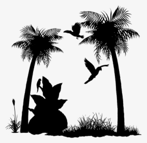 Asian Palmyra Palm Palm Trees Silhouette Sky Branching - Palm Tree, HD Png Download, Free Download