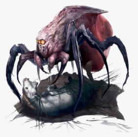 Leng - Spider - 01 - Illustration , Png Download - Pathfinder Leng Spider, Transparent Png, Free Download