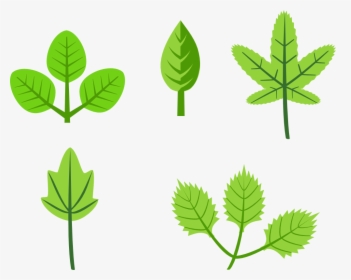 Clipart Of Herb And Rg - Leaves Clip Art, HD Png Download, Free Download