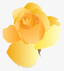 Yellow Rose Clipart Small - Garden Roses, HD Png Download, Free Download
