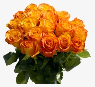 Gorgeous Yellow Roses With Orange Tips - Floribunda, HD Png Download, Free Download