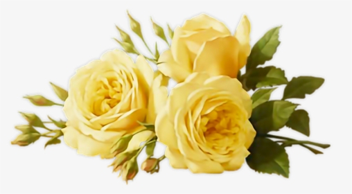 #yellow💛 #roses 🌹 #leaves #3 #green💚 - Yellow Flower Aesthetic Sticker, HD Png Download, Free Download