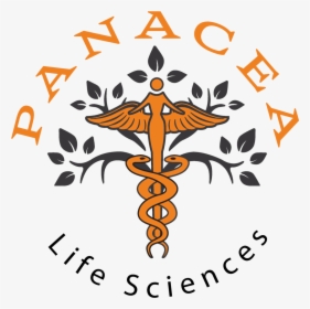 Panacea Logo No Background Color No Circle (2018 01 - Panacea Life Sciences, HD Png Download, Free Download