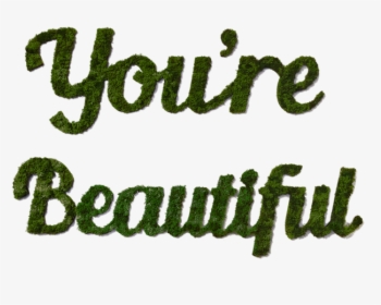 Moss Art Word Beautiful - Calligraphy, HD Png Download, Free Download