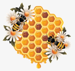 Honey Png - Bee On Honeycomb Drawing, Transparent Png, Free Download